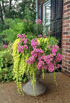 pink and yellow flowers are in a vase on the ground