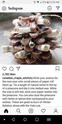 the instagram page on instagram com shows an image of mushrooms and other things