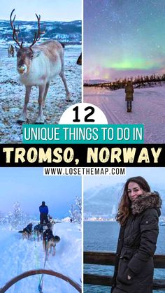 the ultimate guide to visiting tromso norway in 12 unique things to do and see