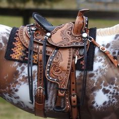 a brown and white horse wearing a saddle