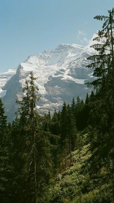 the mountain is covered in snow and surrounded by trees