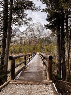 a wooden bridge over a river surrounded by pine trees and snow covered mountains in the distance