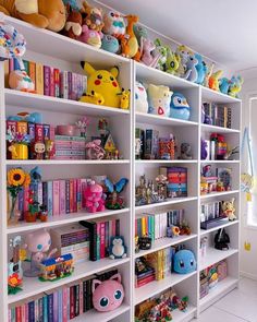 the shelves are filled with many different types of stuffed animals and bookshelves in this room