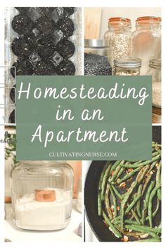 the words homesteading in an apartment surrounded by pictures of food and ingredients, including beans