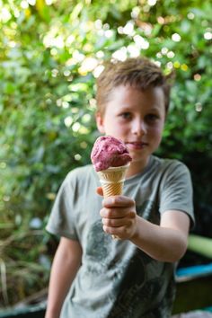 a young boy holding an ice cream cone in his hand