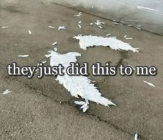 the words they just did this to me are written in white feathers