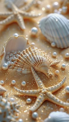 seashells and starfish are on the sand in this close - up photo