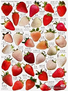 a bunch of strawberries are shown on a white background with chinese characters in the bottom right corner