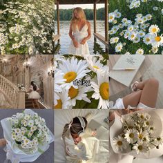 a collage of photos with daisies and flowers