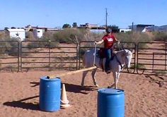 a person riding on the back of a white horse in an enclosed area with blue barrels