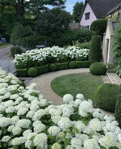 a circular garden with white flowers in the center