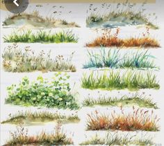 watercolor grass and plants are shown in this screenshote screen shot from the app