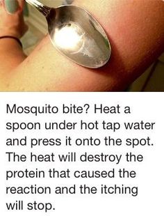 Remedies For Mosquito Bites, 1000 Lifehacks, Mosquito Bites, Survival Skills Life Hacks, Survival Life Hacks, Mosquito Bite, Survival Life, Eucalyptus Oil