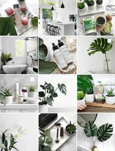 many different pictures with plants and bottles in them