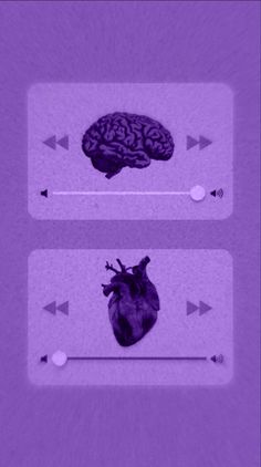 an image of the human heart with arrows pointing up to it's left and right sides