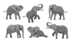 an elephant is shown in four different poses