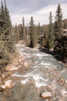 Serene and scenic creek in the Rocky Mountains of Jasper Jasper Alberta, The Rocky Mountains, Travel Photo, Rocky Mountains, Travel Photos, Rocky, Photo Editing, Travel