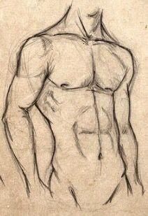 a drawing of a man's torso with no shirt