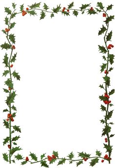 holly and berries border with white background