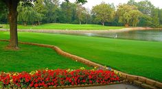 a green golf course with flowers in the foreground