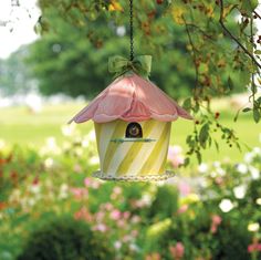 a bird house hanging from a tree branch