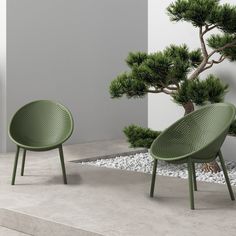 two green chairs sitting next to a bonsai tree