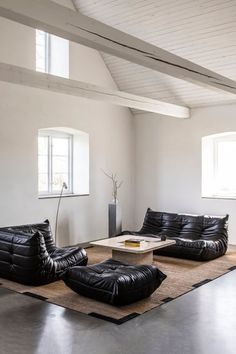 a living room with black leather furniture and large windows in the ceiling, along with an area rug on the floor