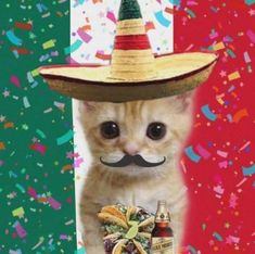 a cat wearing a sombrero and holding a beer in front of confetti