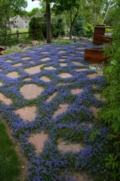 a stone path with blue flowers growing on it and benches in the backround