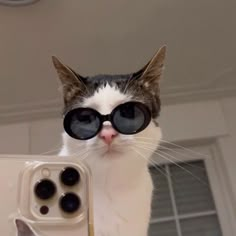 a cat wearing sunglasses and holding up a cell phone with it's front paws