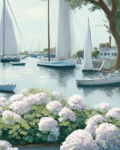 there are many sailboats in the water and some flowers on the shore near by