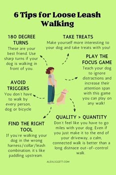 dog training: 6 tips for loose leash walking Reactive Dog Training, Obedience Training For Dogs, Pet Remedies, Lemon Cupcake, Loose Leash Walking, Training Puppy, Reactive Dog, Dog Behavior Problems, Basic Dog Training