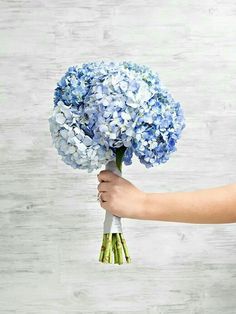 a person holding a bouquet of blue flowers