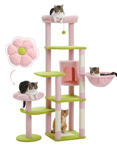 three cats sitting on top of a cat tree