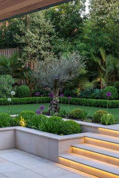 an outdoor garden with steps leading up to the trees and bushes in the center, surrounded by greenery