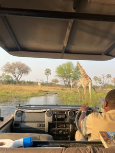 a giraffe walking across a lush green field next to a body of water