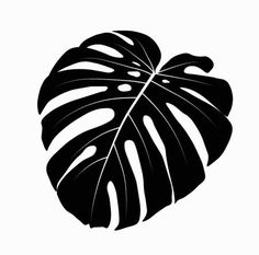 a black and white silhouette of a monster plant leaf on a white background with the words,