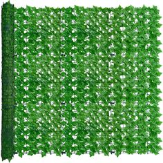 an image of a green screen with ivy growing on the top and bottom half of it