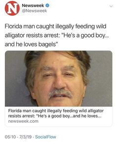 an image of florida man caught illegally feeding wild alligators