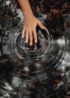 a person's hand reaching for something in the water with leaves all around them