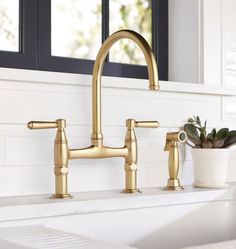 a kitchen sink with two faucets and a potted plant