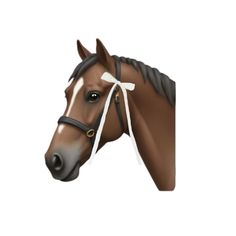 the head of a horse wearing a bridle on it's forehead and neck