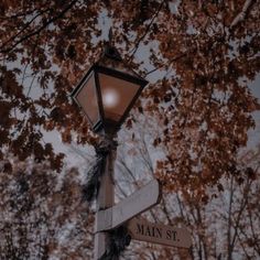 a street light with two signs attached to it's sides and trees in the background