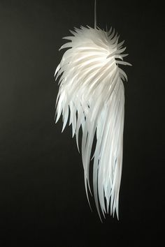 an image of a white feather hanging from a ceiling fixture with the caption's name below it