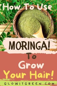 Moringa Leaves Benefits, Moringa Leaf Powder Benefits, Moringa Oil Benefits Hair, Moringa Powder For Hair Growth, Moringa For Hair Growth, Moringa Benefits For Women, Moringa Benefits Hair, Moringa For Hair, Benefits Of Moringa Powder