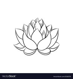 a black and white drawing of a lotus flower