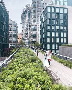 people are walking on the high line in an urban area with tall buildings and greenery