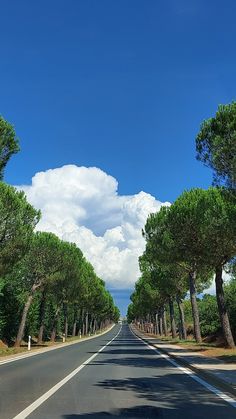 an empty street lined with trees under a blue sky filled with white puffy clouds