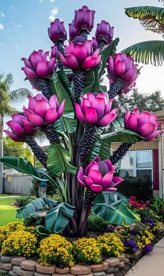 a large flower garden with purple flowers and green leaves