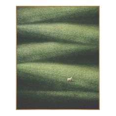 a sheep standing in the middle of a green field with long shadows on it's grass